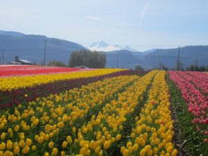 IMG_4509