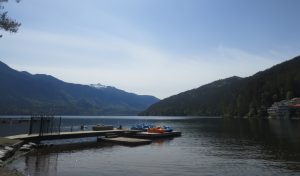 IMG_4556